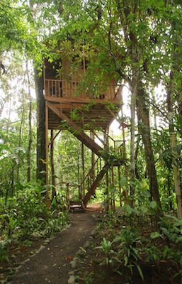 eco-friendly accommodation in Costa Rica, a famous ecotourism destination eco-friendly accommodation in Costa Rica, a famous ecotourism destination