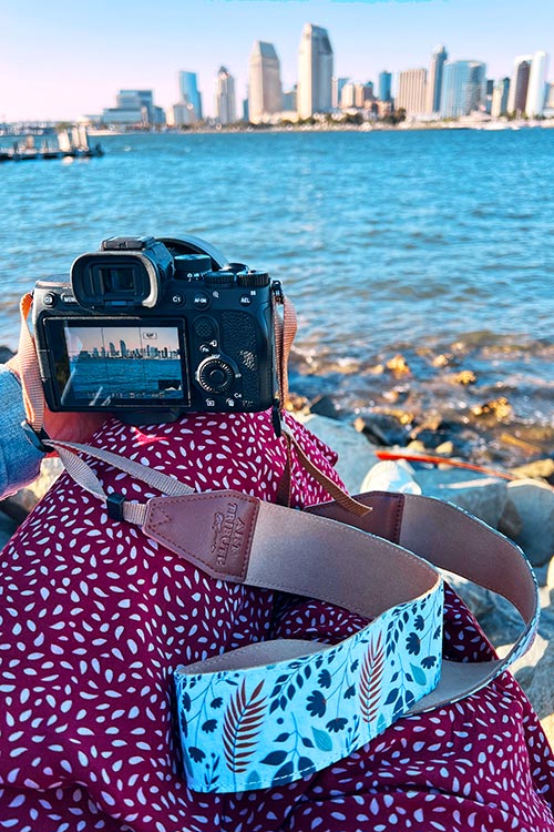 Sony a7 compact travel camera