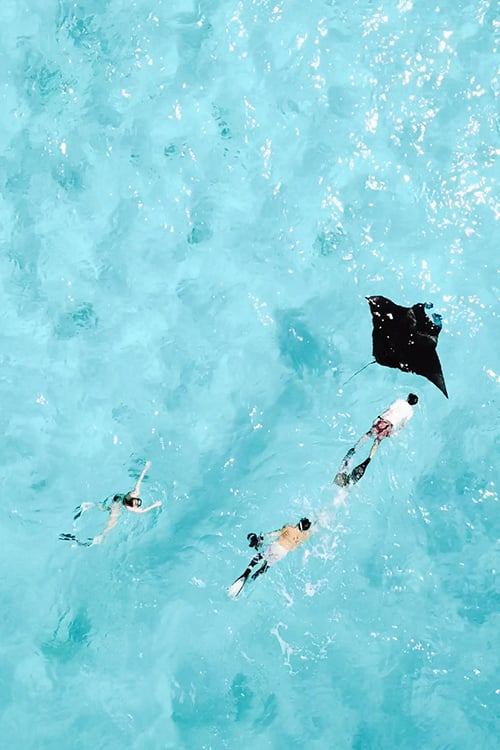 This Manta Ray Encounter In The Maldives Broke My Heart — Here’s What I Learned swimming with manta rays in the maldives