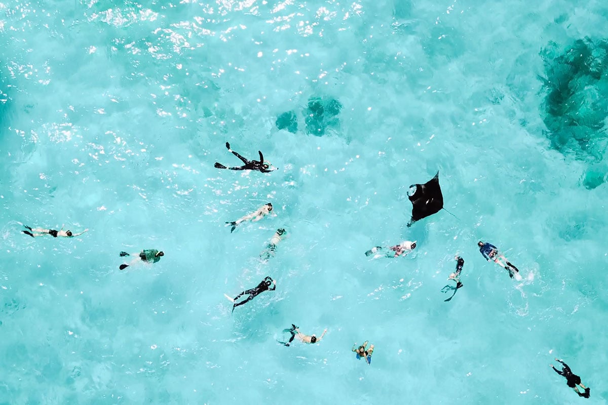This Manta Ray Encounter In The Maldives Broke My Heart — Here’s What I Learned swim with manta rays in the maldives