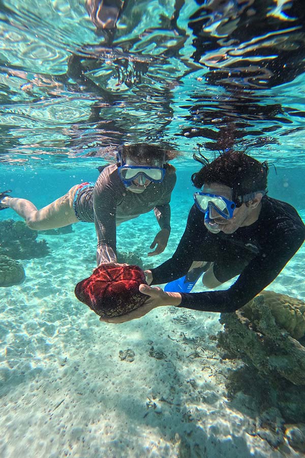 Maldives Vs Bora Bora For Couples: Which Is Better? Bora Bora Things To Do