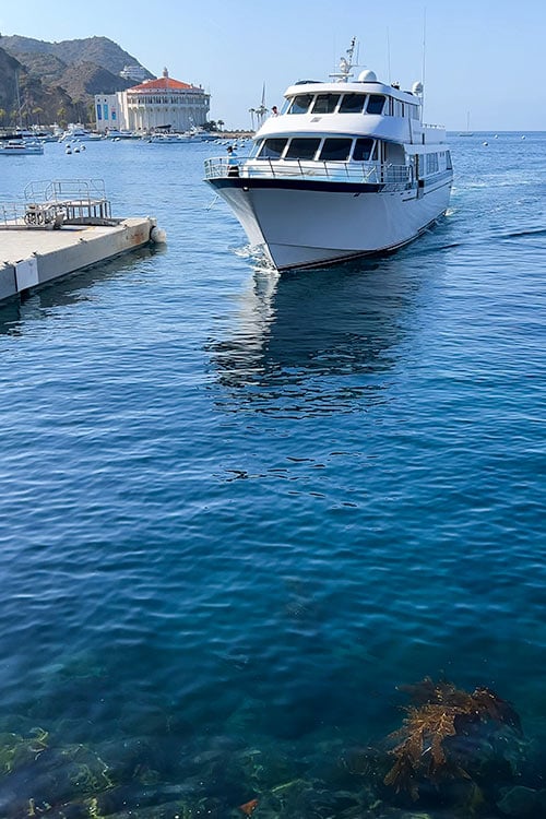 The Complete Catalina Island Travel Guide: Plan Your Perfect Trip How to Get to Catalina Island - Catalina Express Ferry