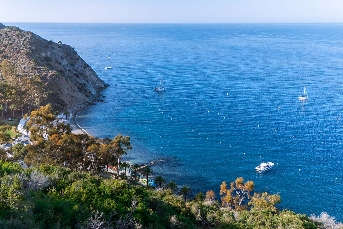 The Complete Catalina Island Travel Guide: Plan Your Perfect Trip View from Lee's Scenic Overlook Catalina Island California