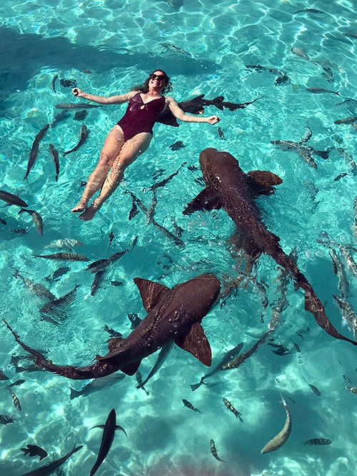 Swimming with nurse sharks in Exumas, Bahamas